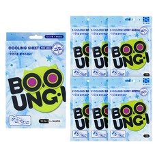 BOOUNG-I 腿部涼感貼片 12片 + 固定帶 4條 套組 210g, 1套