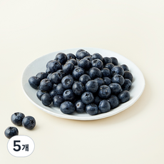 산지직송 아주마 무농약 인증 영동 대왕 블루베리, 250g, 5개