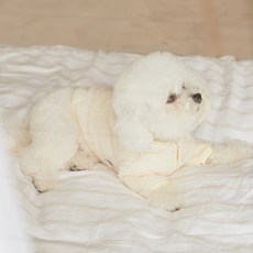 BENNYS 寵物刷毛連帽拉鍊外套, 奶油色