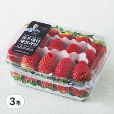 올프레쉬 GAP 인증 금실딸기, 3개, 500g
