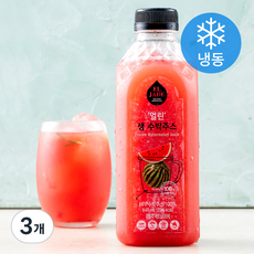 엘제이드 무가당 얼린 생 수박주스 (냉동), 840ml, 3개