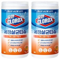 크로락스 세정살균티슈 오렌지 퓨전 75매, 2개