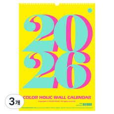 colorholic 2026 壁掛式月曆, 3個, 混和顏色