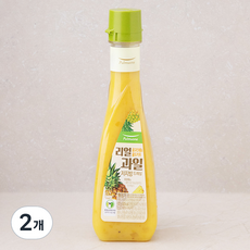 풀무원 리얼과일 저지방 드레싱 골드파인애플 & 골드키위, 525g, 2개