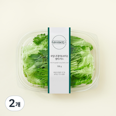 Greenery+ 무농약 인증 와일드루꼴라 & 보리순 샐러드믹스, 150g, 2개