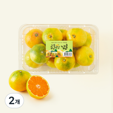 곱들락감귤 제주 남원농협 곱들락 감귤 대과, 2개, 1.2kg