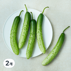아삭한 흑침 오이, 160g, 2개, 5개입