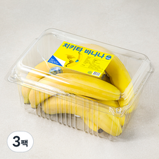 치키타 과테말라산 바나나, 1.5kg, 3팩