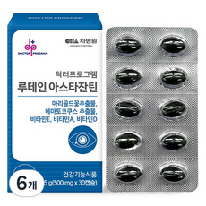 차바이오에프앤씨 닥터프로그램 루테인 아스타잔틴 15g, 6개, 30정