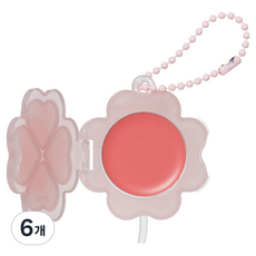 에뛰드 럭키 립햄치크 1.5g, 사랑햄 코랄, 6개