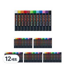 블루마토 써니 컬러 크레파스 오일파스텔 CRY004, 12색, 12세트