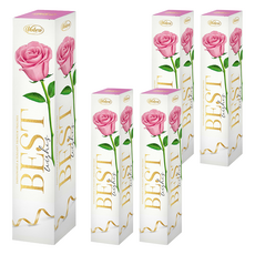 Vobro 威寶 榛果夾心巧克力 75g, 5盒