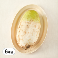 친환경 무, 1개입, 6개