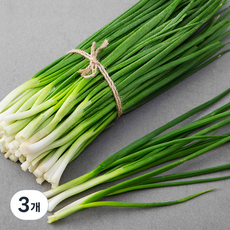 친환경 제주 깐쪽파, 500g, 3개