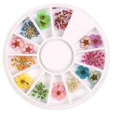MEIBROWN 美甲裝飾乾燥花套裝, 混合顏色, 1盒