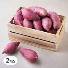 국내산 한입 꿀고구마, 5kg(60g~100g), 2박스