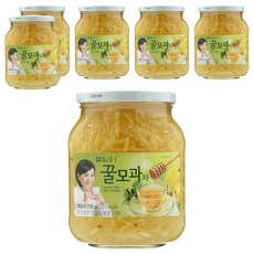 담터꿀모과차, 770g, 1개입, 6개