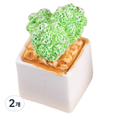 Blacktree 多肉植物花盆迷你公仔 C款, 2個