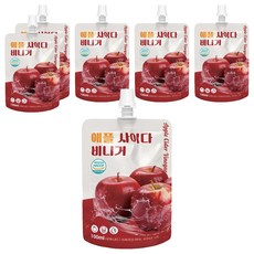 CHEONNYEON MEEIN 千年味人 韓國蘋果醋飲 方便攜帶, 100ml, 6包