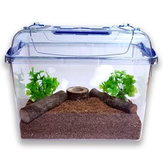 사필풍 사슴벌레 클린 사육 세트, 혼합색상, 1세트