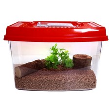 사필풍 사슴벌레 라운드 사육용품 초급자 세트, 뚜껑 랜덤 발송, 1개