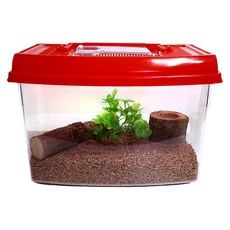 사필풍 장수풍뎅이 라운드 사육용품 초급자 세트, 뚜껑 랜덤 발송, 1개