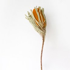 GAPANG 乾燥花 人造花 04號, 橘色