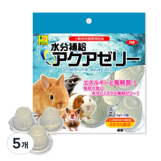 와일드산코 소동물 아쿠아 젤리 F53 간식 10p, 160g, 5개