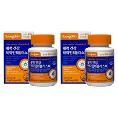 영진약품 영플랜 활력 건강 비타민B 플러스8 72g, 90정, 2개