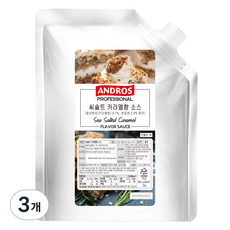 안드로스 씨솔트 카라멜향 소스, 3개, 1L