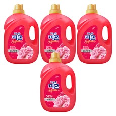 碧珍 高濃縮室內晾乾經典織物柔軟精 花卉慶典 正裝, 4L, 4個