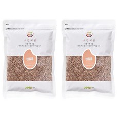 씨익 소반미반 렌틸콩, 500g, 2개