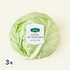 프리미엄 제주 아삭한 양배추, 1kg, 1개입, 3개