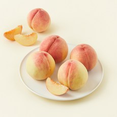 농협 유명산지 당도선별 부드러운 백도복숭아, 1.8kg(5~8입), 1박스