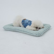 REDPUPPY 寵物洛奇3D空氣坐墊, 綠色, 1個