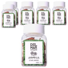 딜리셔스마켓 스타아니스홀 천연향신료, 20g, 6개