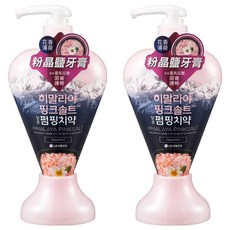 BAMBOO SALT 竹鹽 喜馬拉雅粉晶鹽牙膏 花香薄荷, 285g, 2瓶