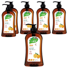一滴淨 蘆薈多酚食品用洗潔精-柑橘 99.5%綠本元素 法國ECOCERT驗證, 1kg, 6瓶