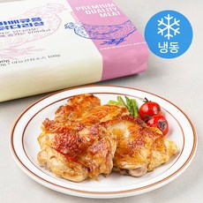 플레잇 바베큐용 시즈닝 닭다리살 500g + 마늘간장소스 100g 세트 (냉동), 1세트
