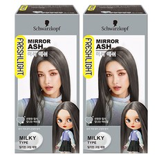 FRESHLIGHT 富麗絲 乳霜型染髮劑, 鏡面灰色, 2個