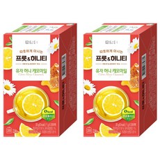 Damtuh 丹特 水果蜂蜜茶包 柚子蜂蜜洋甘菊, 1g, 20包, 2盒