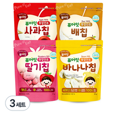 퓨어잇 내이브로 동결건조 과일칩 4종 세트, 3세트, 사과맛, 배맛, 딸기맛, 바나나맛