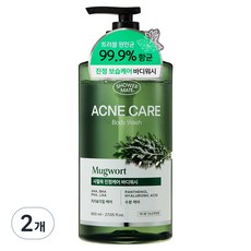 샤워메이트 사철쑥 아크네 케어 바디워시, 800ml, 2개