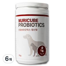 누리큐브 반려동물 프로바이오틱스 영양제, 항산화, 30g, 6개