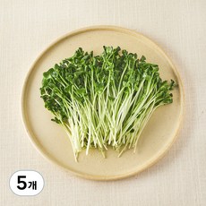 국내산 무농약 무순, 60g, 5개