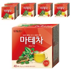 담터 마테차, 1g, 40개입, 6개
