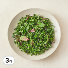 친환경 어린잎 채소, 500g, 3개