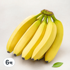 스위트마운틴 콜롬비아산 스미후루 바나나, 1.3kg, 6팩