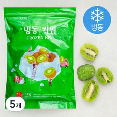 키위 (냉동), 1kg, 5개