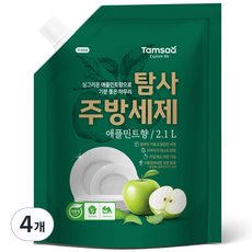 탐사 친환경 주방세제 애플민트향, 2.1L, 4개